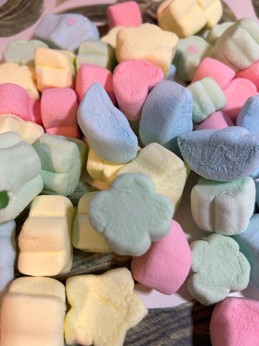 Freeze Dried XL Lucky Charms Marshmallows