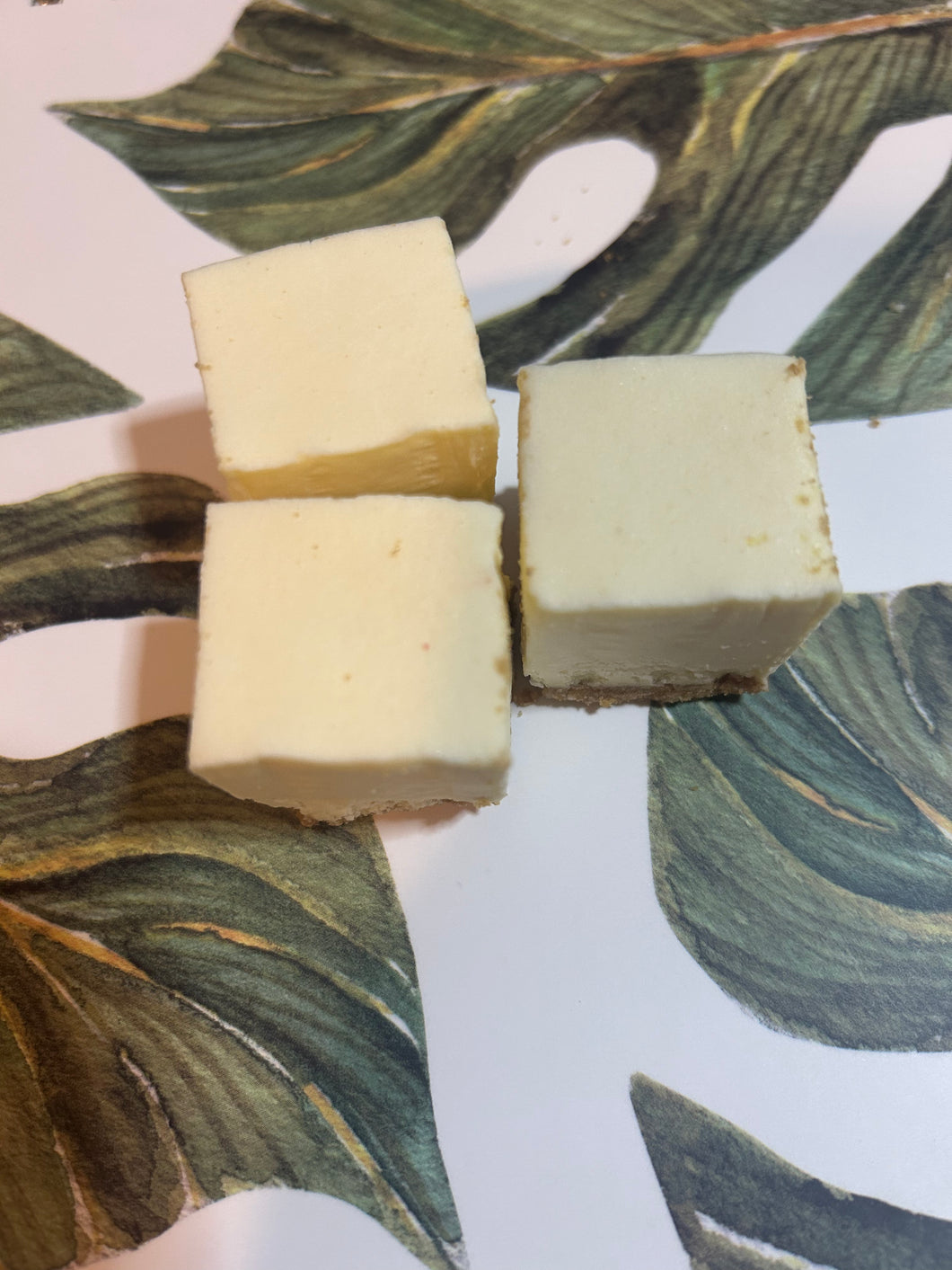 Freeze Dried Cheese Cake Bites